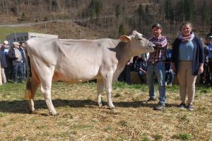 k-27Siegerin Gen.-Cup 2.u.3.L. Biver Bacalina Lussi Sepp Oberdorf